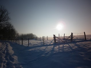 Zima v Lipové